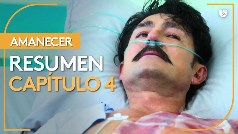 Amanecer | Capítulo 4 - Resumen
