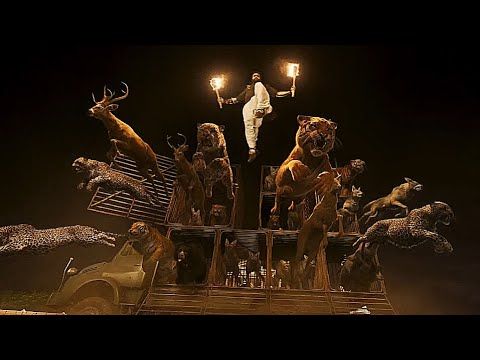 Wild Animals Help Him To Rescue A Girl 😱 (RRR Recap)