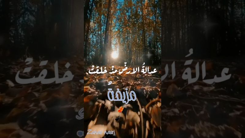 عدالةُ الأرض مذْ خلقتْ مزيفةُ والعدلُ في الارضِ لا عدل ولا ذممُ