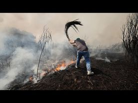 Wildfires in Spain and Portugal force evacuations and deployment of thousands of emergency personnel
