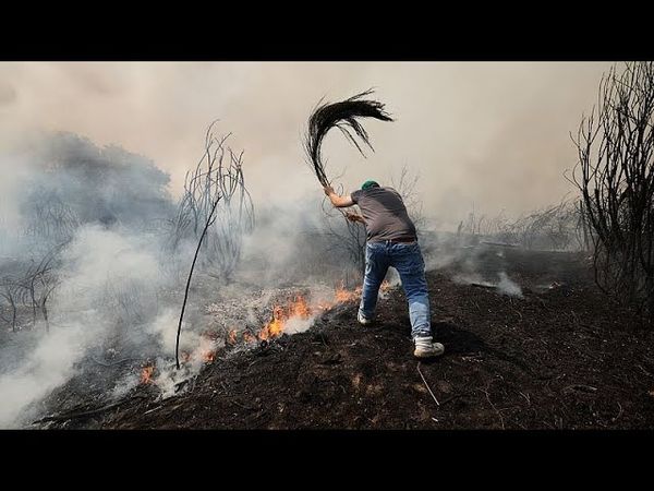Wildfires in Spain and Portugal force evacuations and deployment of thousands of emergency personnel