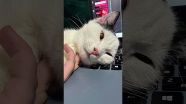 Надеюсь, вам полегчало 🥹