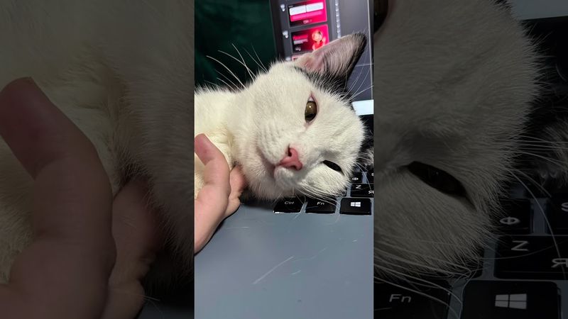 Надеюсь, вам полегчало 🥹