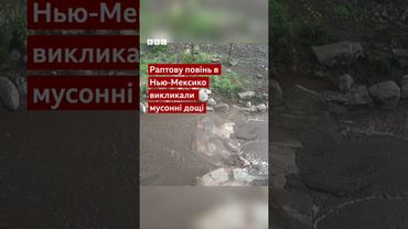 Потужна повінь знесла будинок у Нью-Мексико #shorts #сша #природа