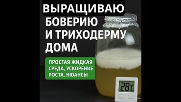 Тонкости и нюансы - как вырастить биопрепараты в домашних условиях!