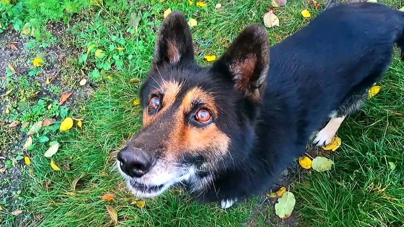 #Славянск. 31 октября 2025г. Вечер.