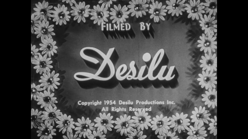 Desilu/CBS Television Network/Viacom (1954/1976) #2