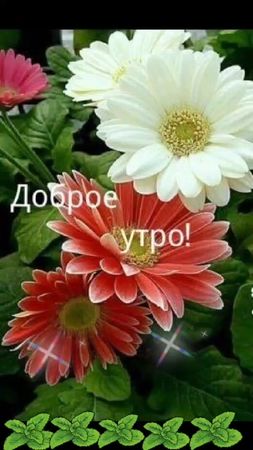 TikTok video #6984401515670719745