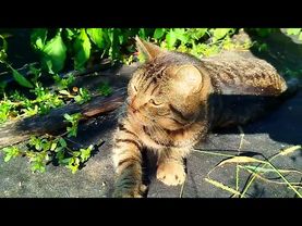 #Славянск.13 сентября 2025г. Вечер.