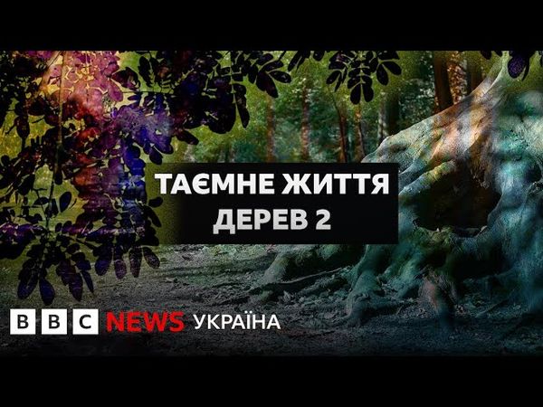 Коли дерева стають дорослими і скільки вони живуть І Документальний фільм BBC