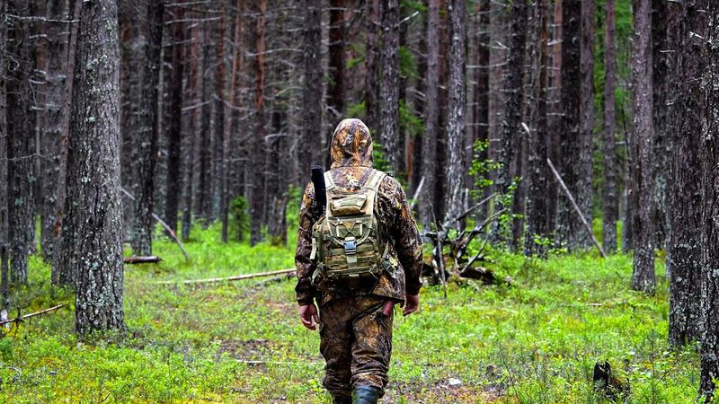 I LIVE IN THE FOREST. UNBELIEVABLE FINDINGS IN AN OLD LOG CABIN