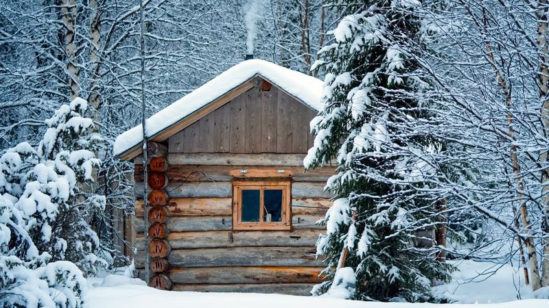 ДЕДОВСКАЯ ЛОВУШКА В ДЕЙСТВИИ. УКРАЛИ ДОБЫЧУ! БЕРЛОГА. БУДНИ ОХОТНИКА.