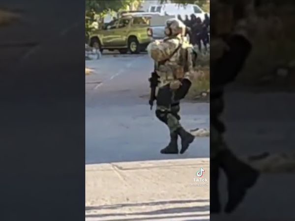 Fuerzas Especiales de Reacción FER #FER #Sedena #México #Especialforce #Shorts