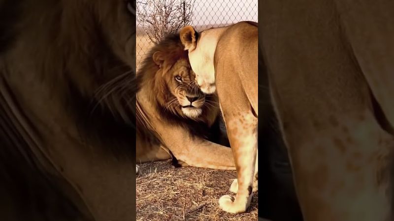 Mommy wasn’t having it!