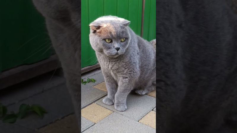 24 августа 2025 г.