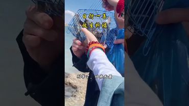 《放生》越放生越有钱！健康！好运！接了！转发！功德无量#正能量 #国学文化 #道家文化 #民间文化 #人生感悟 #转运 #发财 #放生超度 #度人度己 #祈福 #添富 #自我救赎 #救赎