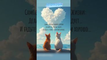 Доброе утро,хорошего дня открытки на каждый день #открытка #доброеутро #видеооткрытка #доброеутречко