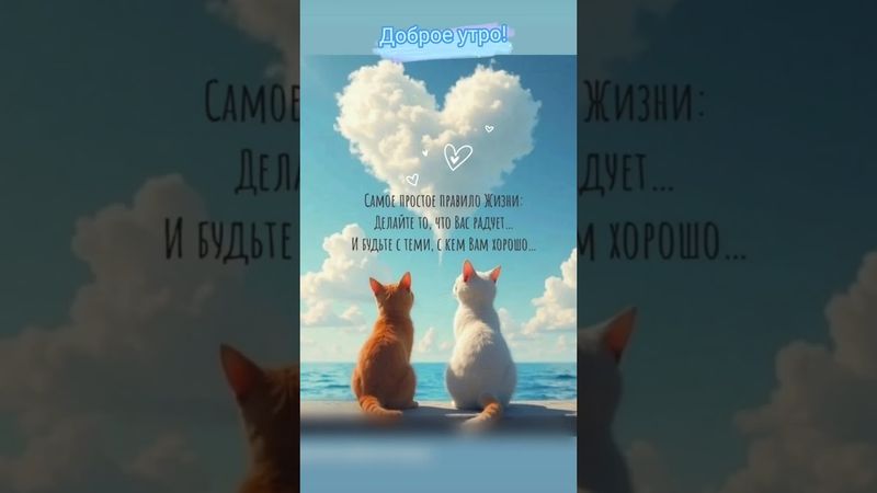 Доброе утро,хорошего дня открытки на каждый день #открытка #доброеутро #видеооткрытка #доброеутречко