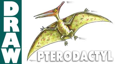 How to Draw a Pterodactyl
