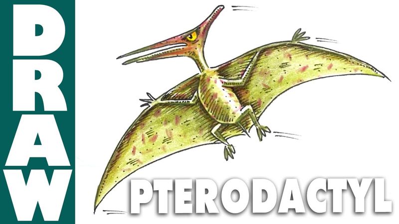 How to Draw a Pterodactyl