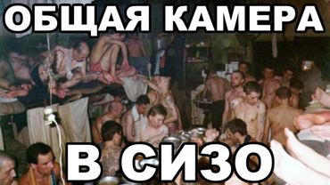 Общая камера в СИЗО. Как вести себя в общей камере