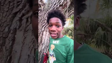 Hari Pertama Membangun Rumah Pohon yang SEBENARNYA👍🌳#florida #lucu #pohon