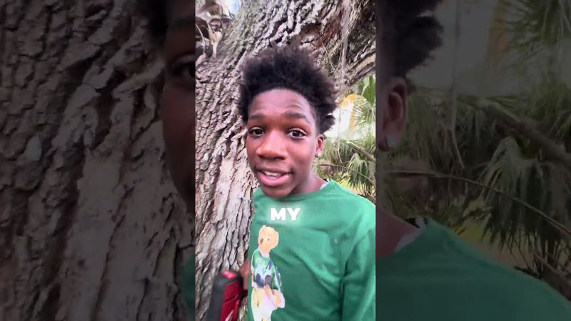 The REAL Day One Of Building A Treehouse👍🌳#florida #funny #tree