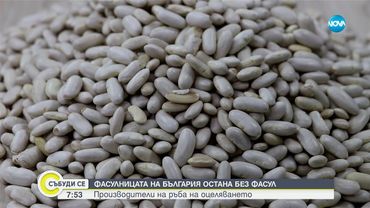 Без български боб на трапезата: Сушата унищожи и тази реколта - Събуди се...(05.07.2025)