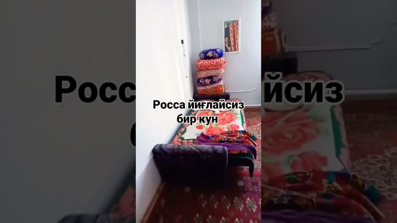 17 декабря 2025 г.