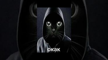 окак #мем #окак #memes #шутка #юмор