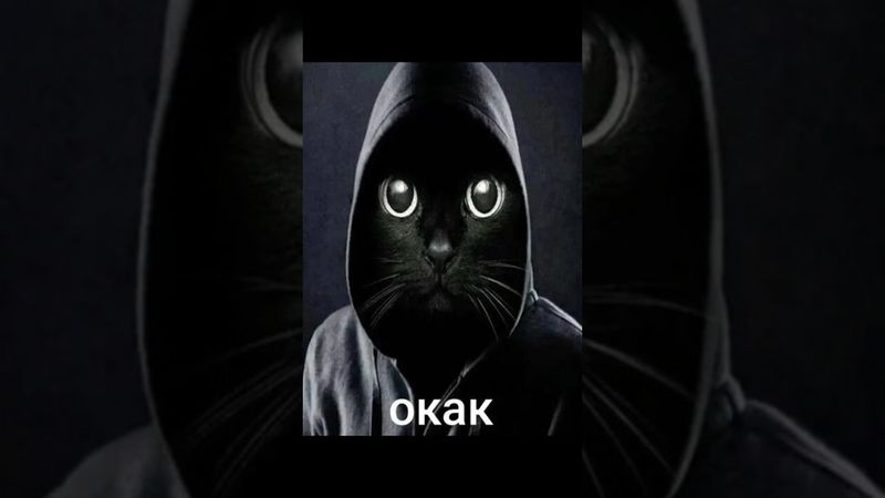 окак #мем #окак #memes #шутка #юмор