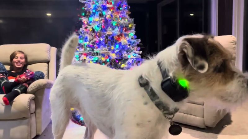 STRANGER THINGS new season pre game