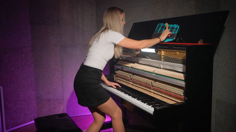 Pachelbel - Canon in D Major | Watch the Piano Hammers in Action