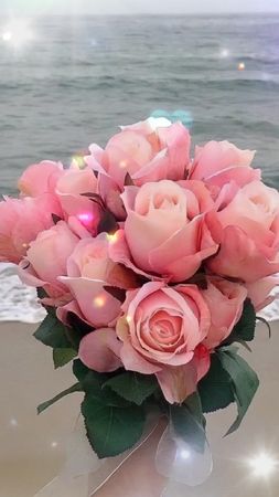 TikTok video #7061660253611412738