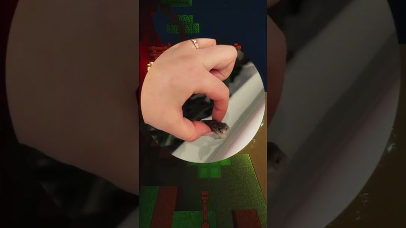 #кружки #мемы #прикол #юмор #рекомендации #рек #fyp