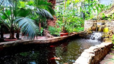 В Харькове заработал Ботанический сад. Я в восторге!! Ещё хочу!!! 17.04.2025