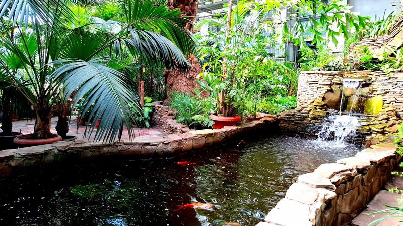 В Харькове заработал Ботанический сад. Я в восторге!! Ещё хочу!!! 17.04.2025