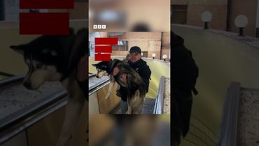 РФ масовано атакувала Україну. У Києві загиблий. Під ударом Івано-Франківськ #shorts #київ #новини