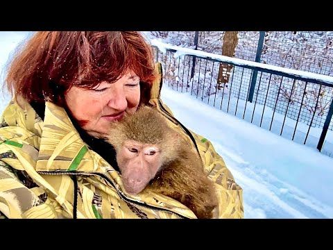 Люська ПОЛОМАЛА полку,оборвала лестницу и гамак дома,а Влад вместо наказания понес ее гулять на снег