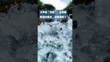 《水为财》正财横财遇水则发！喊一声“钱来”！该你发财了！接了！转发！功德无量！#正能量 #好运连连#水生财 #来财 #发财 #转运 #民间文化 #国学文化 #道家文化 #佛教文化 #正财 #横财