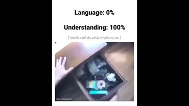 My dreams💭 makes no sense 😭 #meme