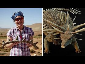 165-million-year-old spiked dinosaur with ‘weaponised tail’ discovered in Morocco