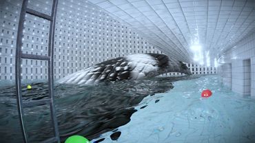 The Backrooms - Lost in the Sunken Purgatory