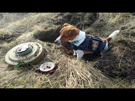 Коли закінчиться війна?