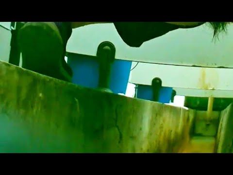 SEPATU BARU BUDE DARTI SNAKERS UNGU #sepatuwanitaterbaru #fashion