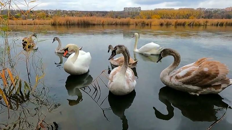 #Славянск. 2 ноября 2025г. Вечер. Прогулка по курорту!