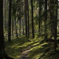 #fup #on #щитпост #щп 