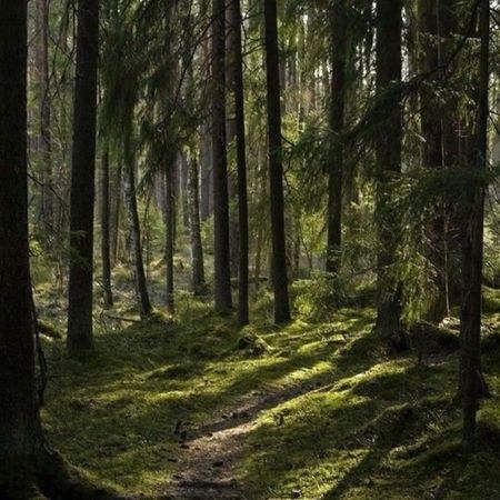 #fup #on #щитпост #щп 