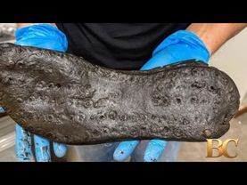 “Unusually large” 2,000-year-old shoes unearthed at a Roman site in northern England
