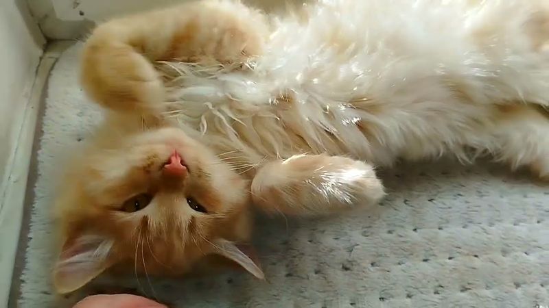 #Славянск. 14 октября 2025г. Вечер.